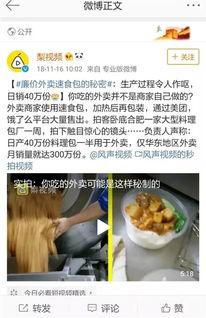 黑作坊炸鸡最新爆料视频,揭秘食品安全背后的惊人真相